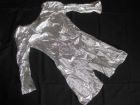 Silver Car